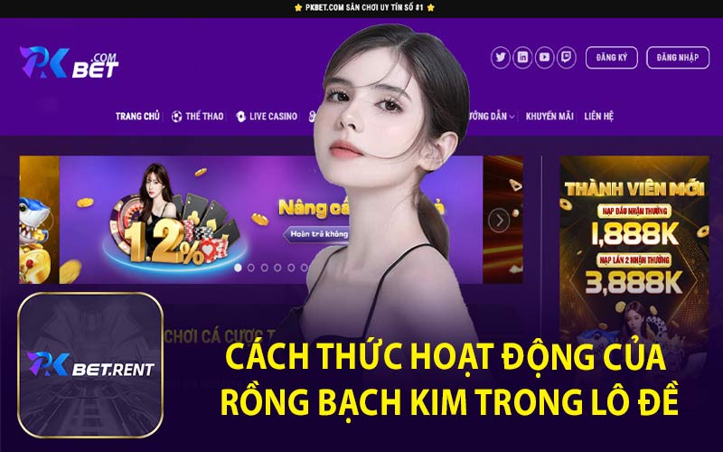 Cách Thức Hoạt Động Của Rồng Bạch Kim Trong Lô Đề