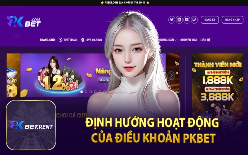 Định Hướng Hoạt Động Của Điều Khoản PKBET