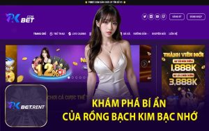 Khám Phá Bí Ẩn Của Rồng Bạch Kim Bạc Nhớ