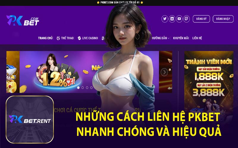 Những Cách Liên Hệ PKBET Nhanh Chóng Và Hiệu Quả