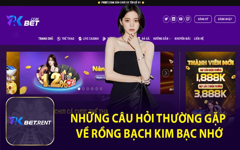 Những Câu Hỏi Thường Gặp Về Rồng Bạch Kim Bạc Nhớ