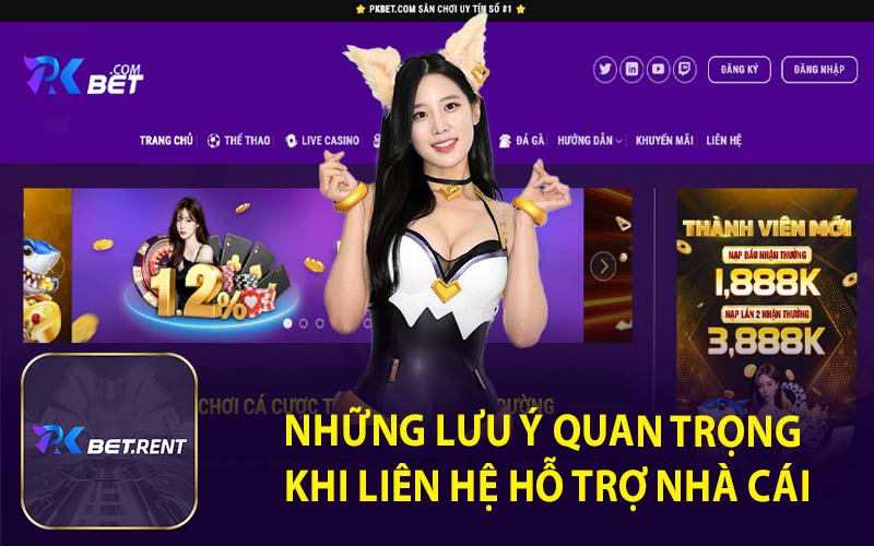 Những Lưu Ý Quan Trọng Khi Liên Hệ Hỗ Trợ Nhà Cái