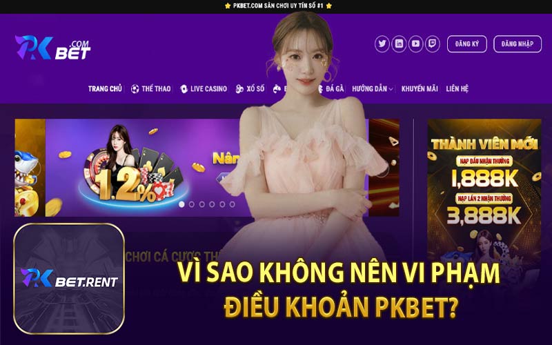 Vì Sao Không Nên Vi Phạm Điều Khoản PKBET?